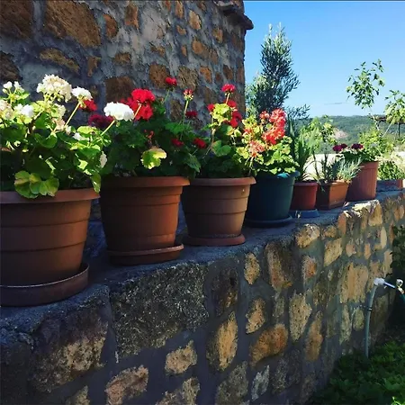 Qekik Boutique Kazdaglari Hotel *