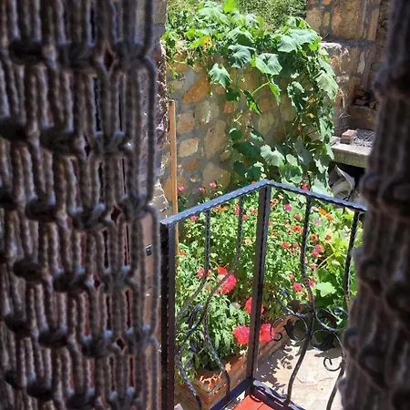 Qekik Boutique Kazdaglari