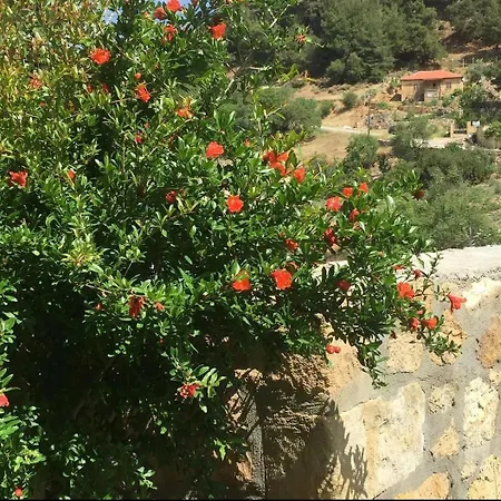 Hotel Qekik Boutique Kazdaglari Arikli